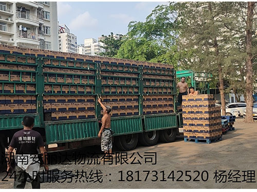 &#29699;&#36895;&#20307;&#32946;&#40;&#20013;&#22269;&#41;&#23448;&#26041;&#32593;&#31449;&#45;&#119;&#101;&#108;&#99;&#111;&#109;&#101;